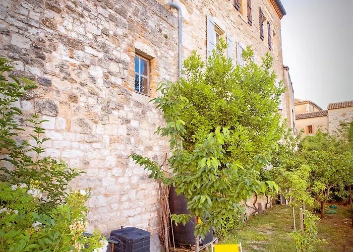 Belvedere De Montmiral * Castelnau-de-Montmiral