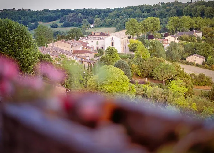 Belvedere De Montmiral בית נופש Castelnau-de-Montmiral